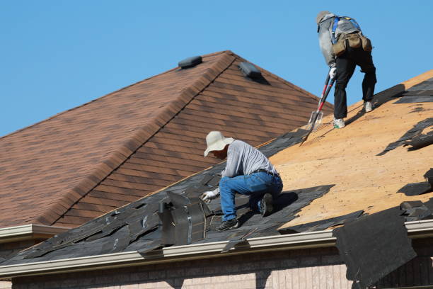 Best Asphalt Shingle Roofing  in Chandler, IN