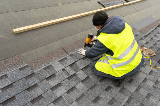Best Roof Insulation Installation  in Chandler, IN
