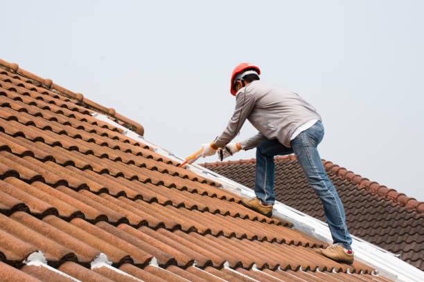 Best Roof Maintenance and Cleaning  in Chandler, IN
